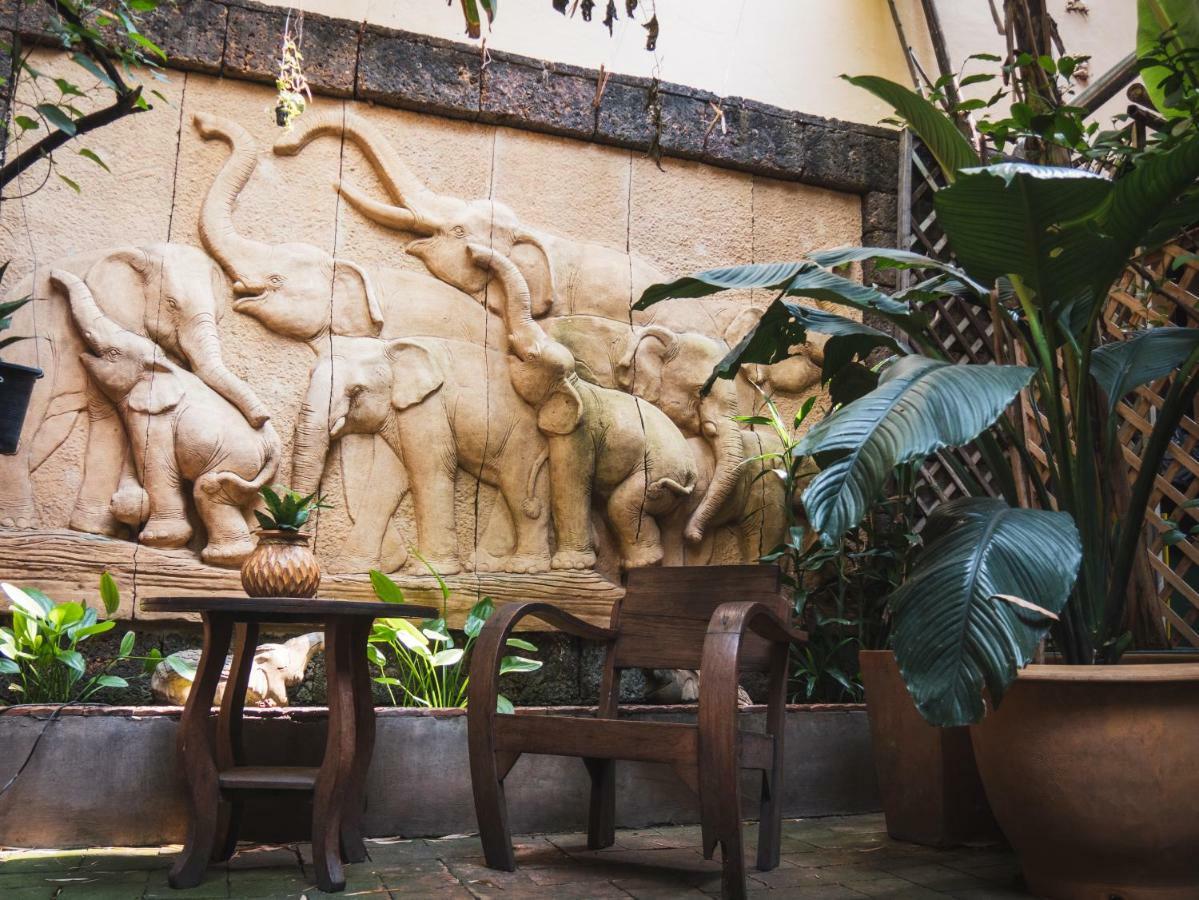 Cool Guesthouse Chiang Mai Ngoại thất bức ảnh