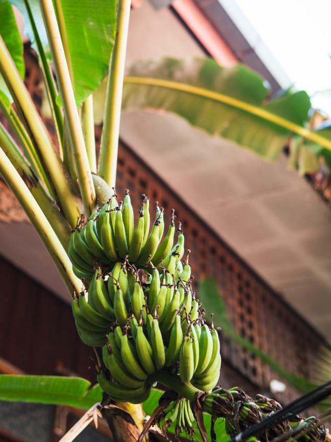 Cool Guesthouse Chiang Mai Ngoại thất bức ảnh