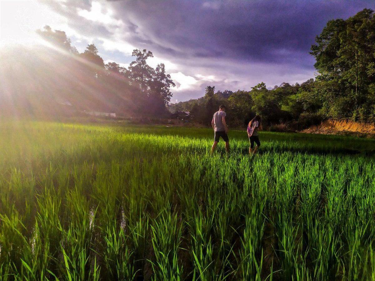 Cool Guesthouse Chiang Mai Ngoại thất bức ảnh